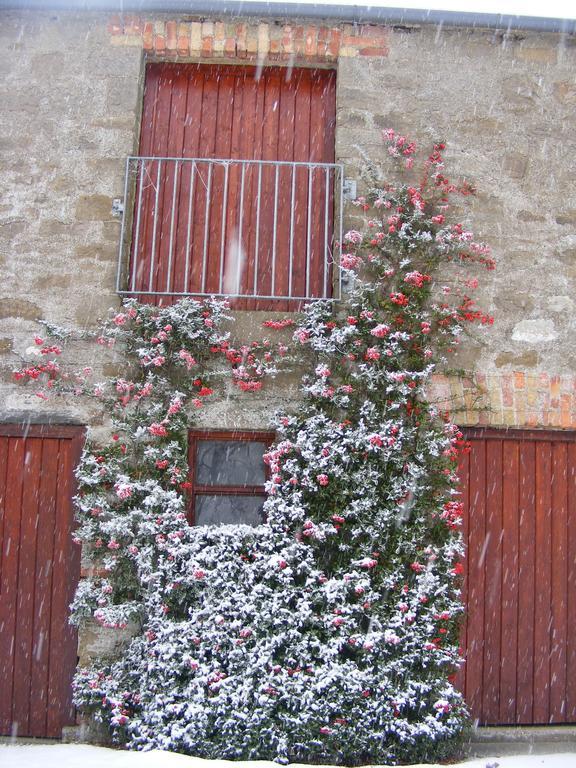 Ballyhargan Farm House Dungiven Exterior foto